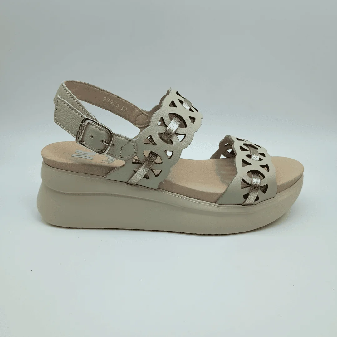 29926 FLOTY (1)