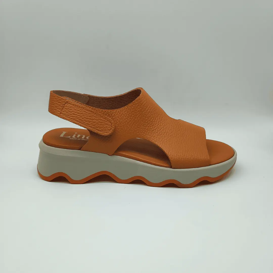 50265 NARANJA (1)