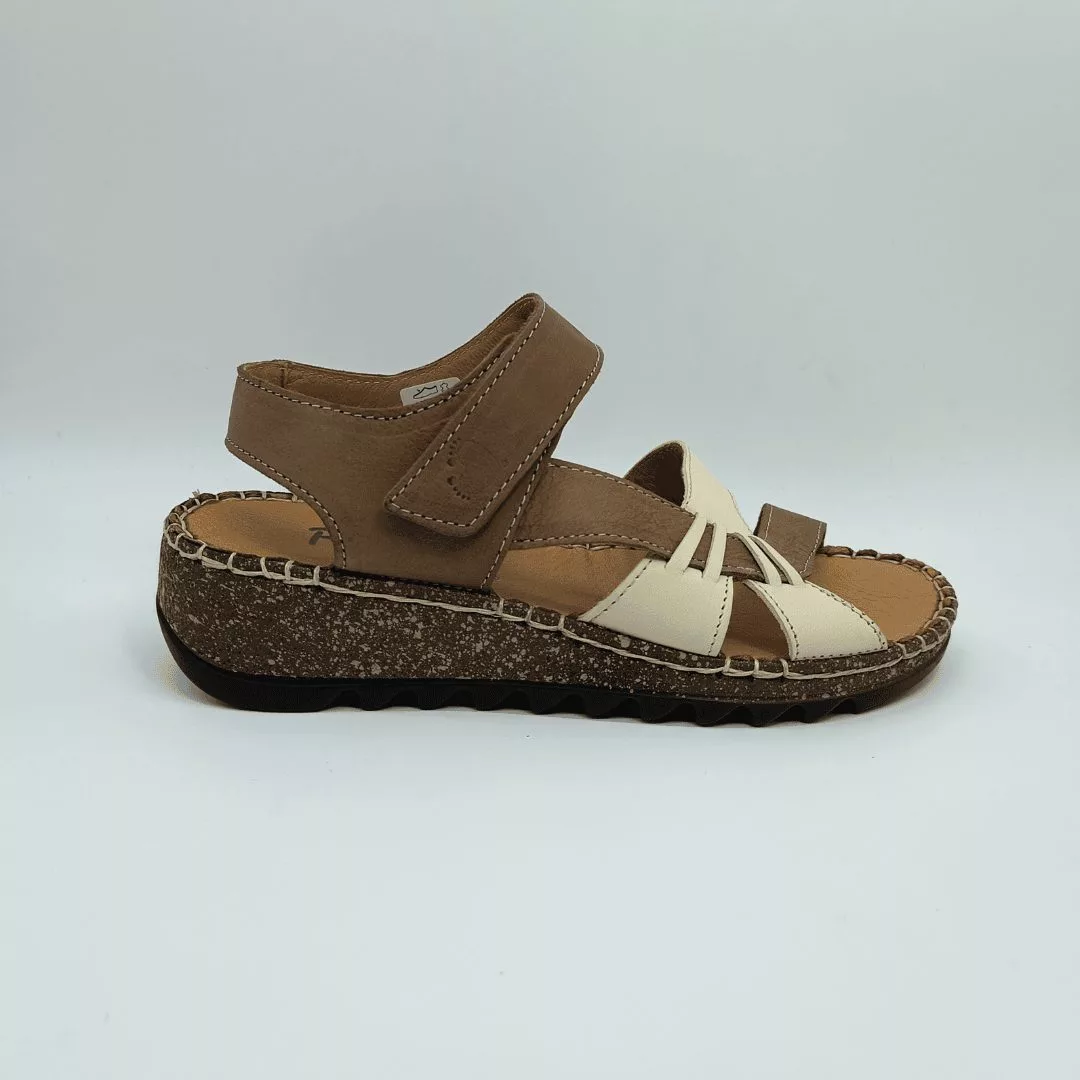 W2556 TAMESIS (1) W2556 TAMESIS (1)