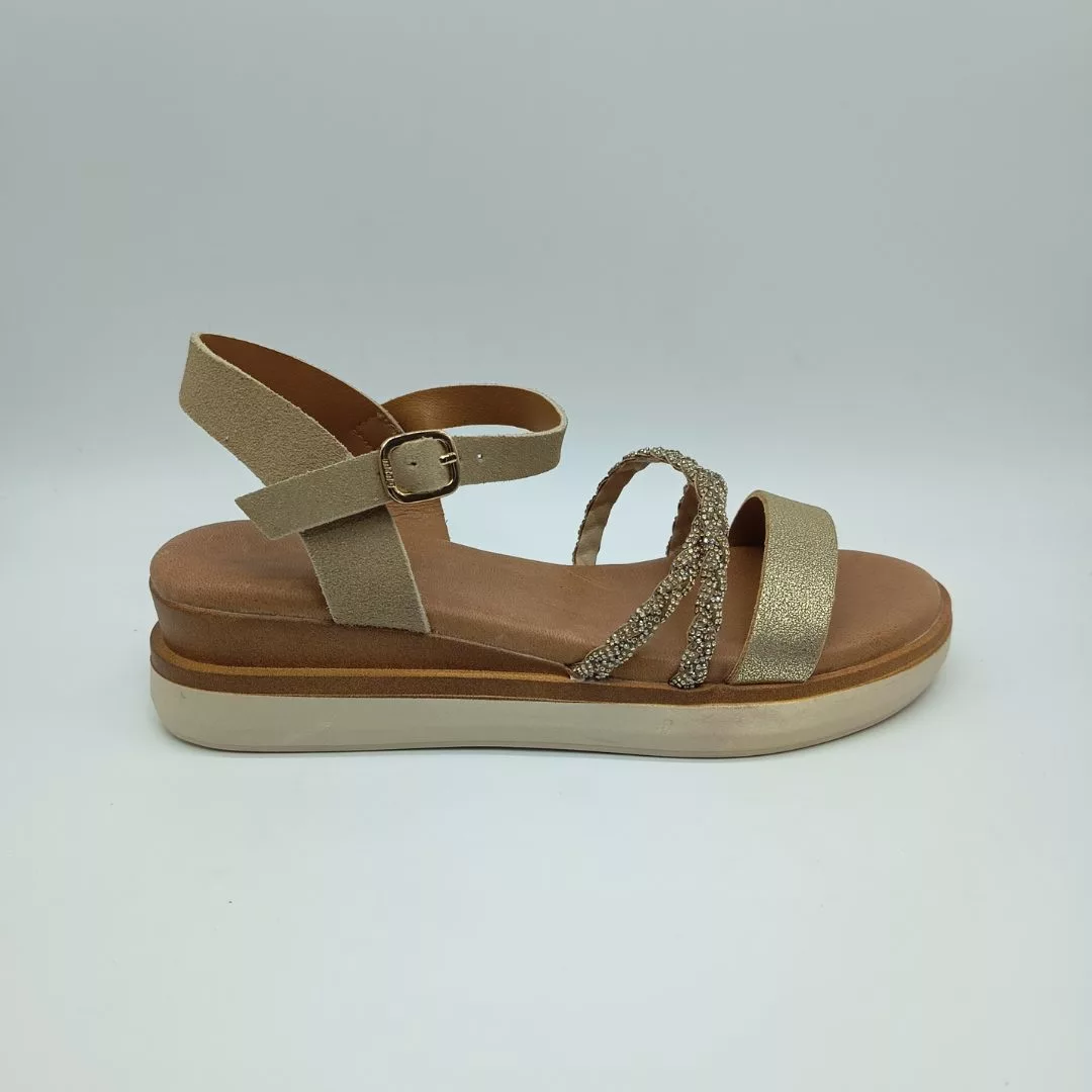 54477 ARENA (1) 54477 ARENA (1)