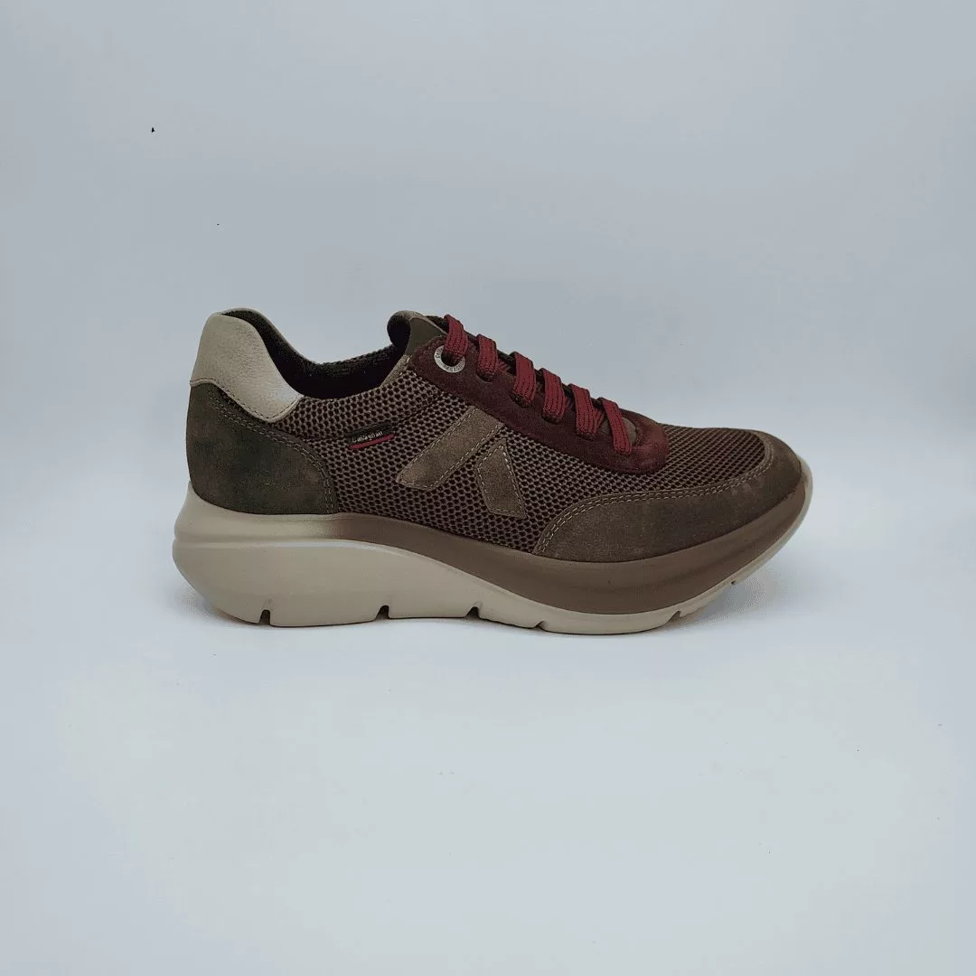 62400 TRUFA (1)