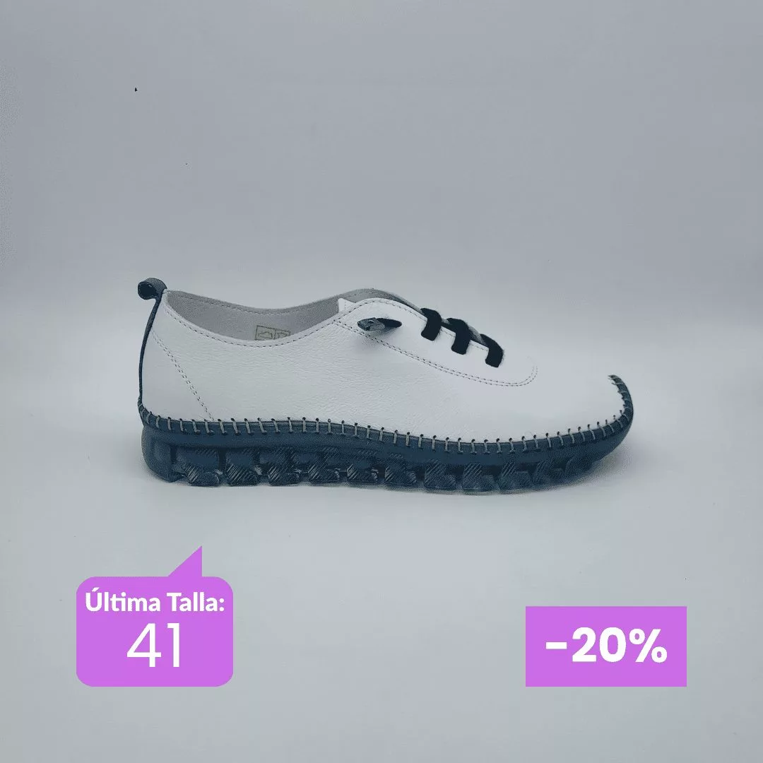 www.calzadosalani.com - 2026-06-04T115951.765(1)